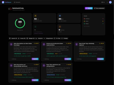 Traffalyzer SEO Tool